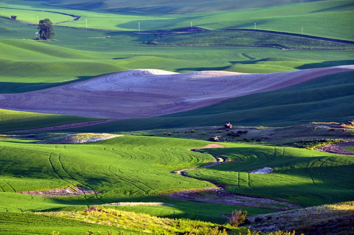 Steptoe Butte State Park (Colfax) - Alt du skal vide før du besøger ...