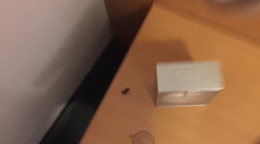 Als ich schlafen gehen wollte rannte mir voller Freude eine Kakalake entgegen