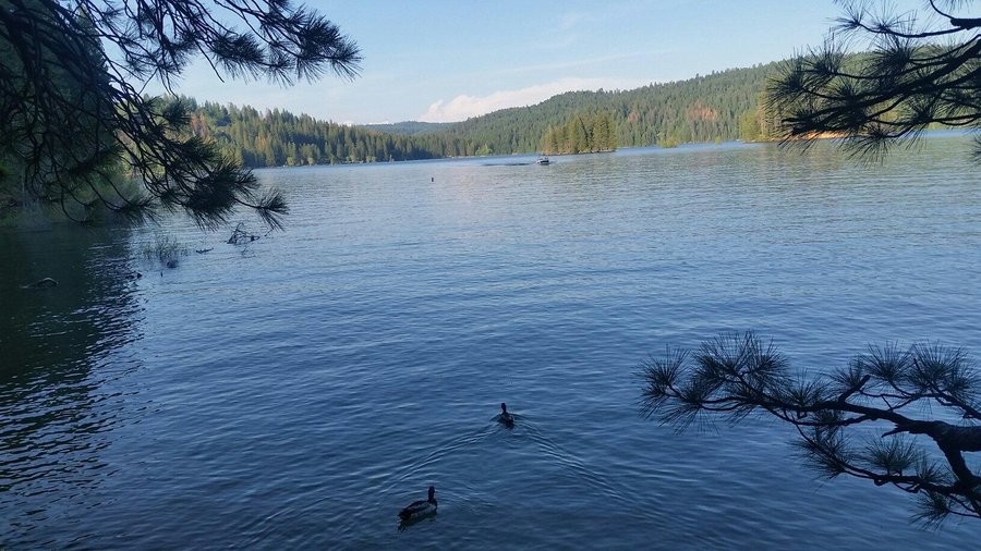 SLY PARK RESORT - Campground Reviews (Pollock Pines, CA) - Tripadvisor