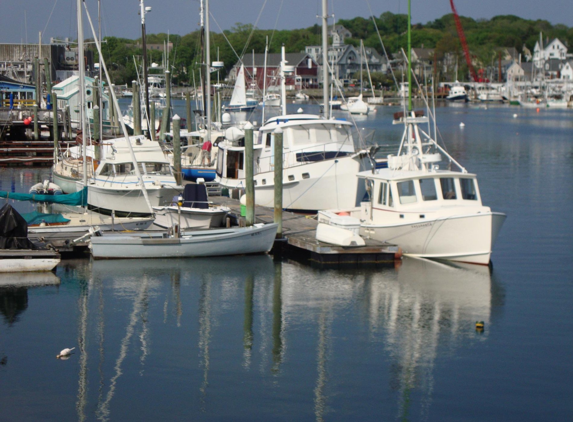 Accommodations At Rocky Neck by null