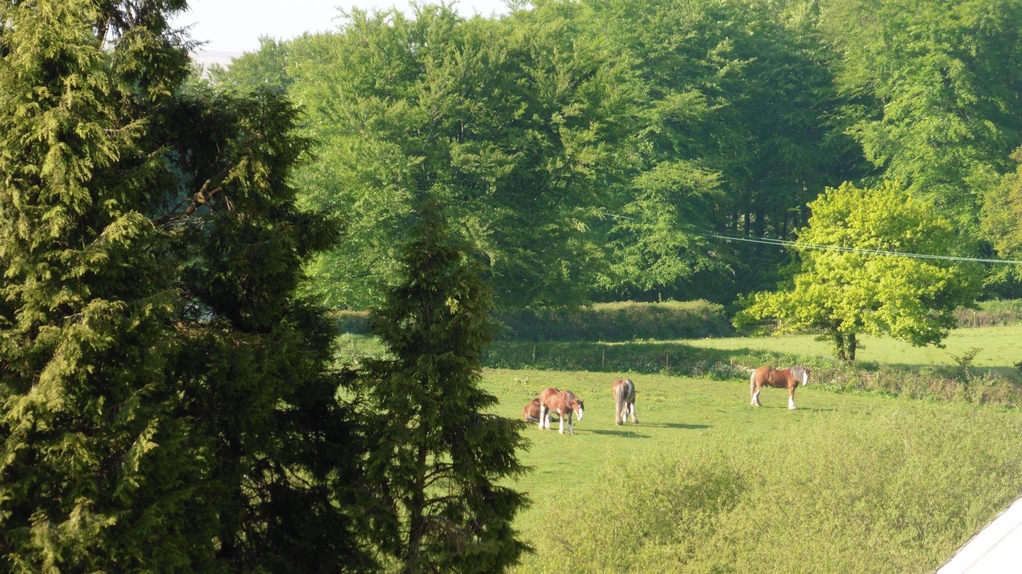Brimpts Farm by null