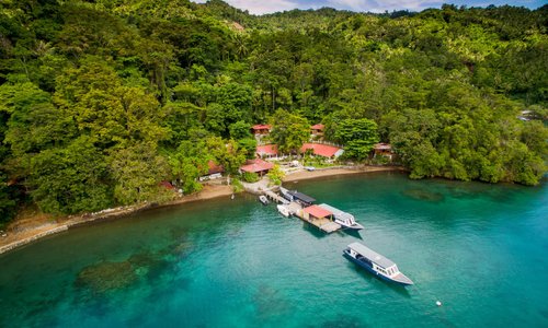 NAD Resort and it's surrounding jungle