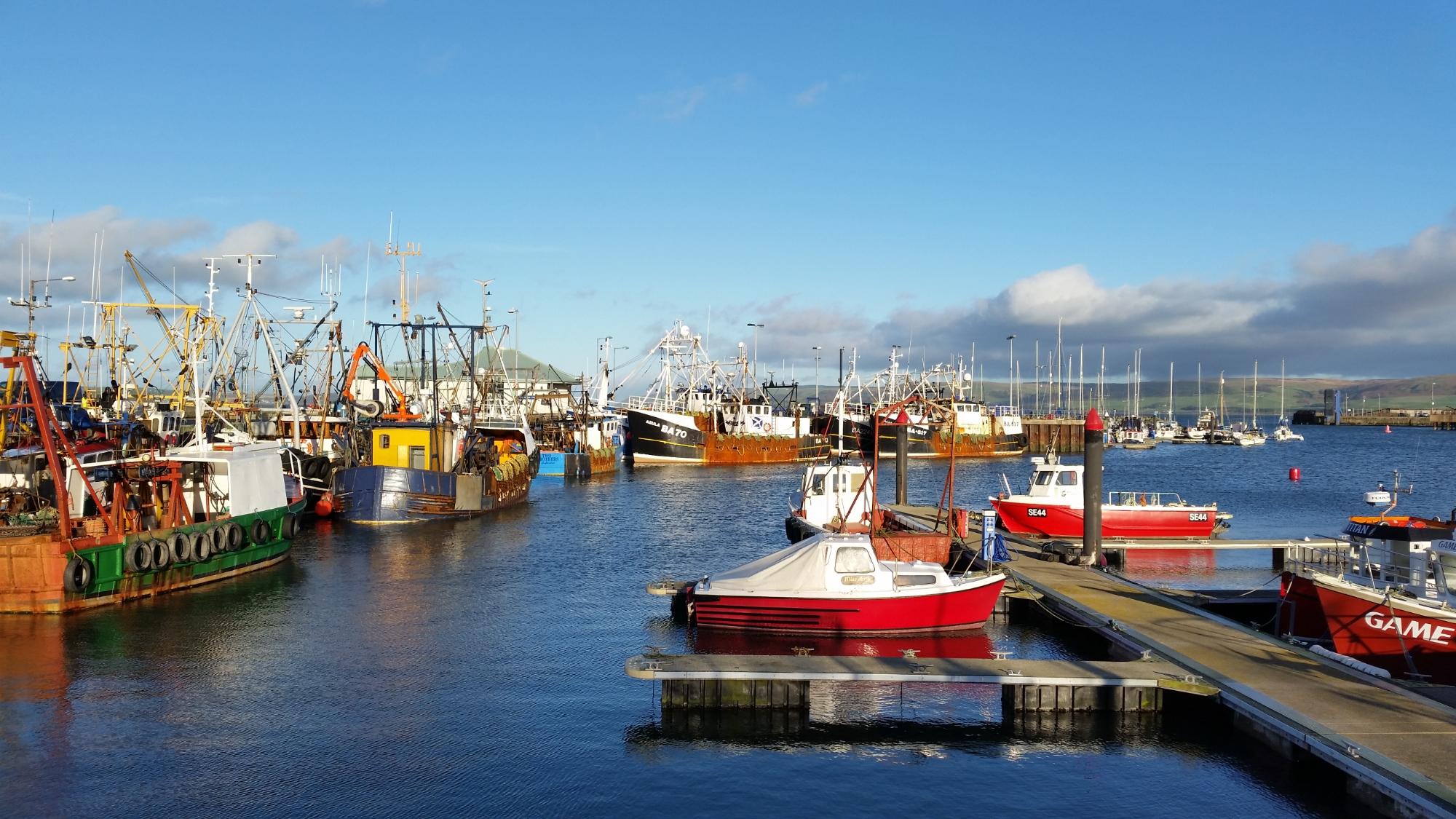 STRANRAER HARBOUR: All You Need to Know BEFORE You Go (with Photos)