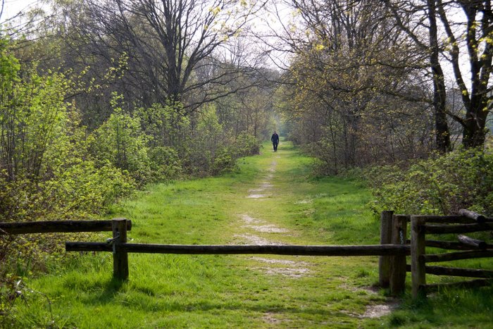 Doorkijkje