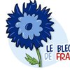 Karine F