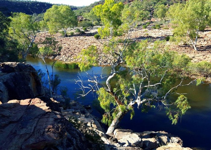 Ross Graham Lookout