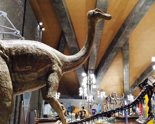 関東地方の美術館 博物館 ベスト10 トリップアドバイザー 関東地方の美術館 博物館 ベスト10 トリップアドバイザー