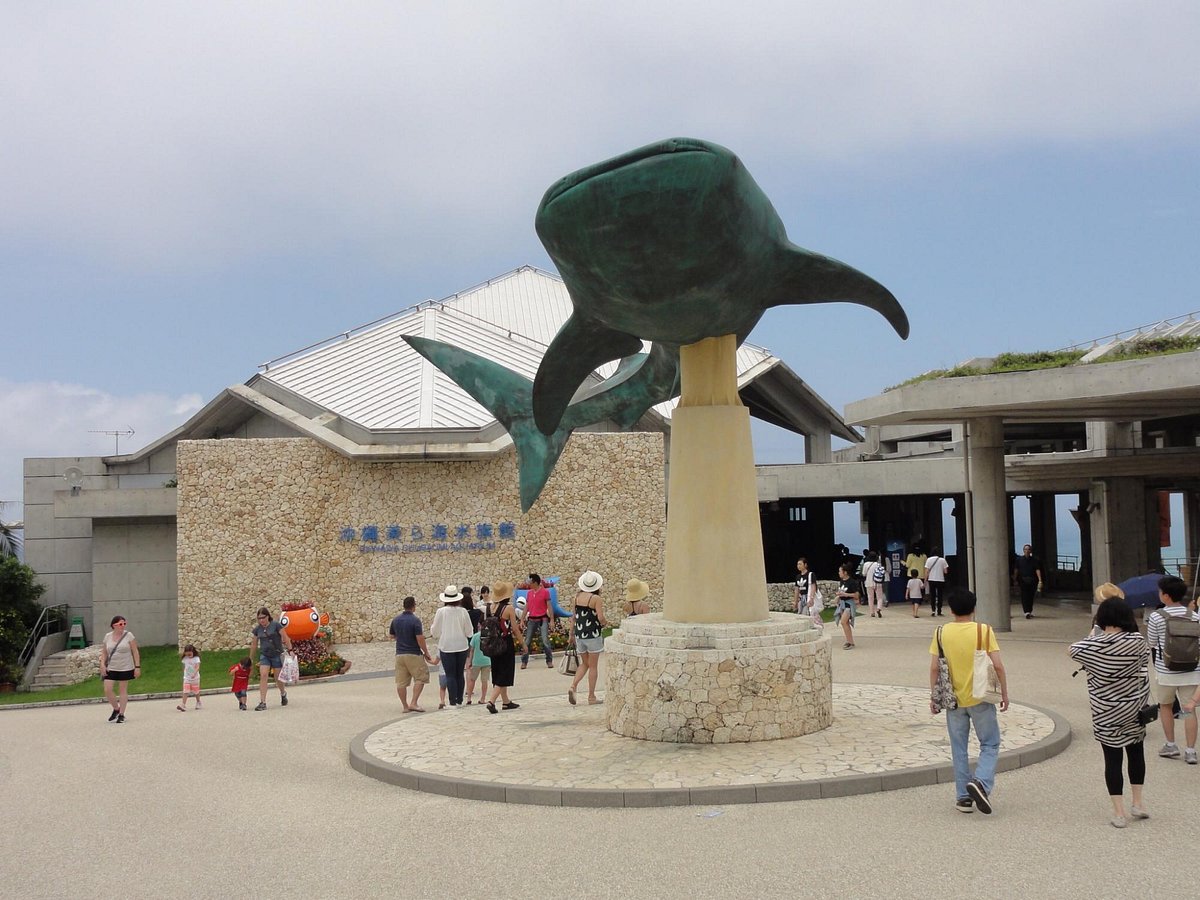 Okinawa Churaumi Aquarium  Travel Japan - Japan National Tourism  Organization (Official Site)