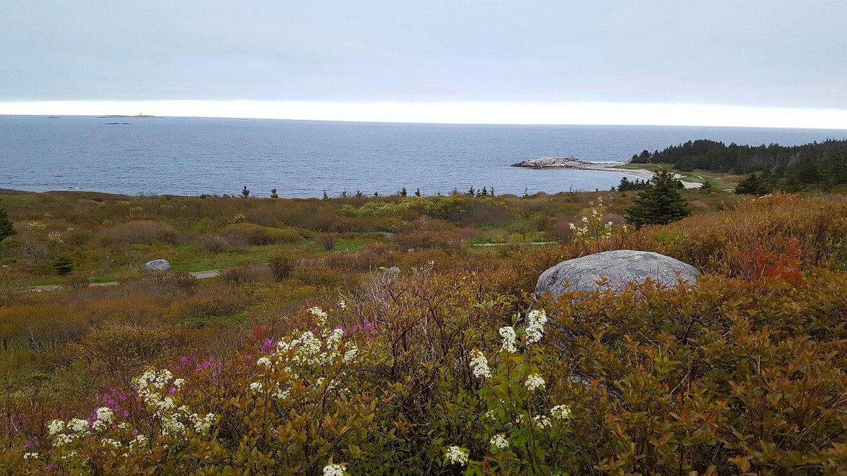 Crystal Crescent Beach Provincial Park - All You Need to Know BEFORE You Go  (2024)