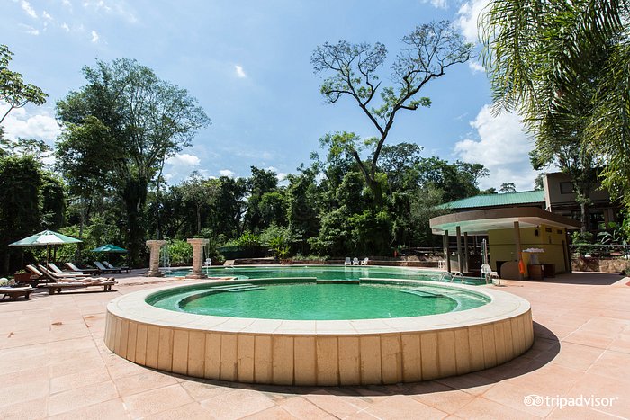 reptiles Supresión Instrumento YVY HOTEL DE SELVA (Puerto Iguazú, Misiones): opiniones y precios