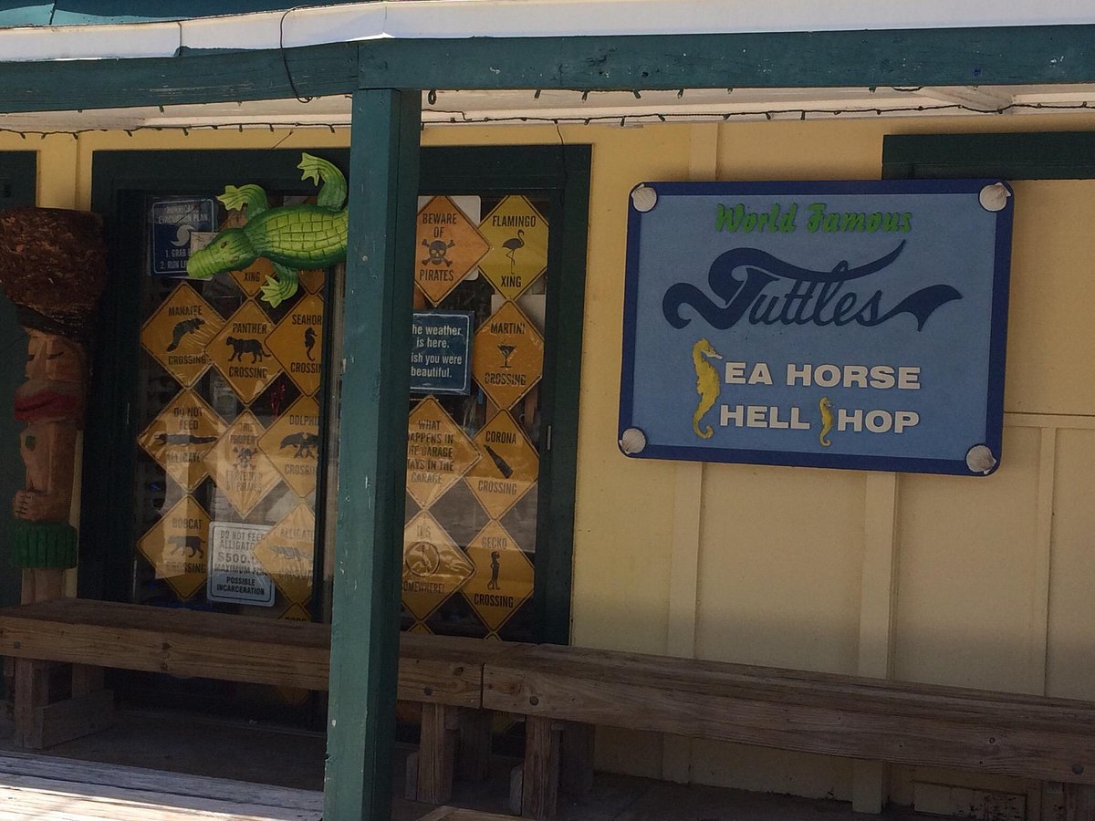 Sea Horse Shell Shop Supply House Gift Orlando Florida 