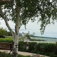 View of the harbor from the park