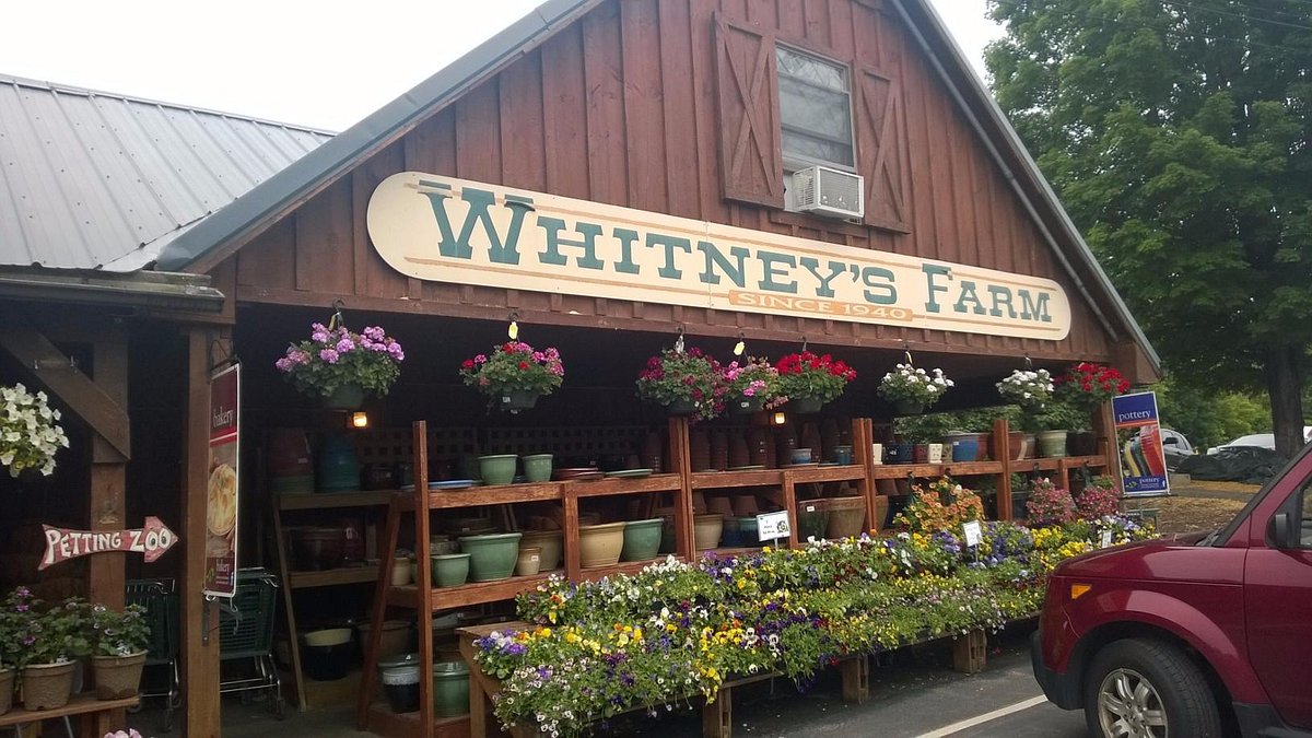 Whitneys Farm Market And Garden Center Cheshire All You Need To Know
