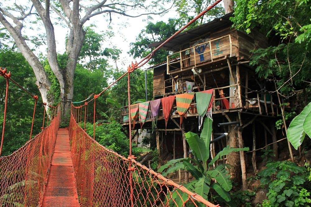 NuBra Seamless  Treehouse On Main
