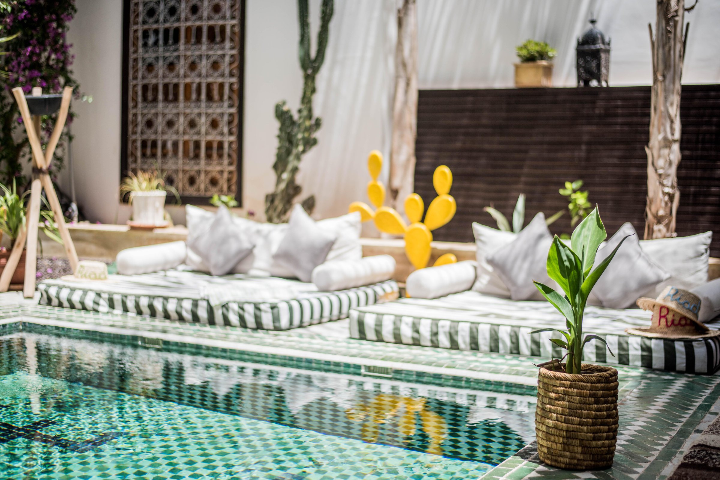 RIAD YASMINE - Updated 2022 Prices & Hotel Reviews (Marrakech, Morocco)