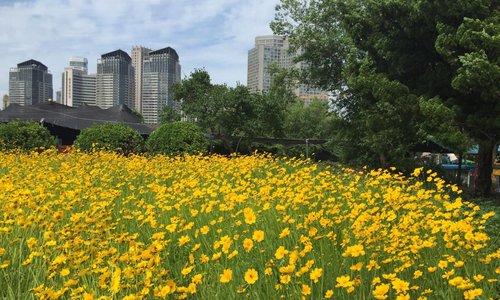 勞動公園在夏天很多漂亮的花，是值得一看的景點
