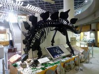21年 東北大学理学部自然史標本館 行く前に 見どころをチェック トリップアドバイザー
