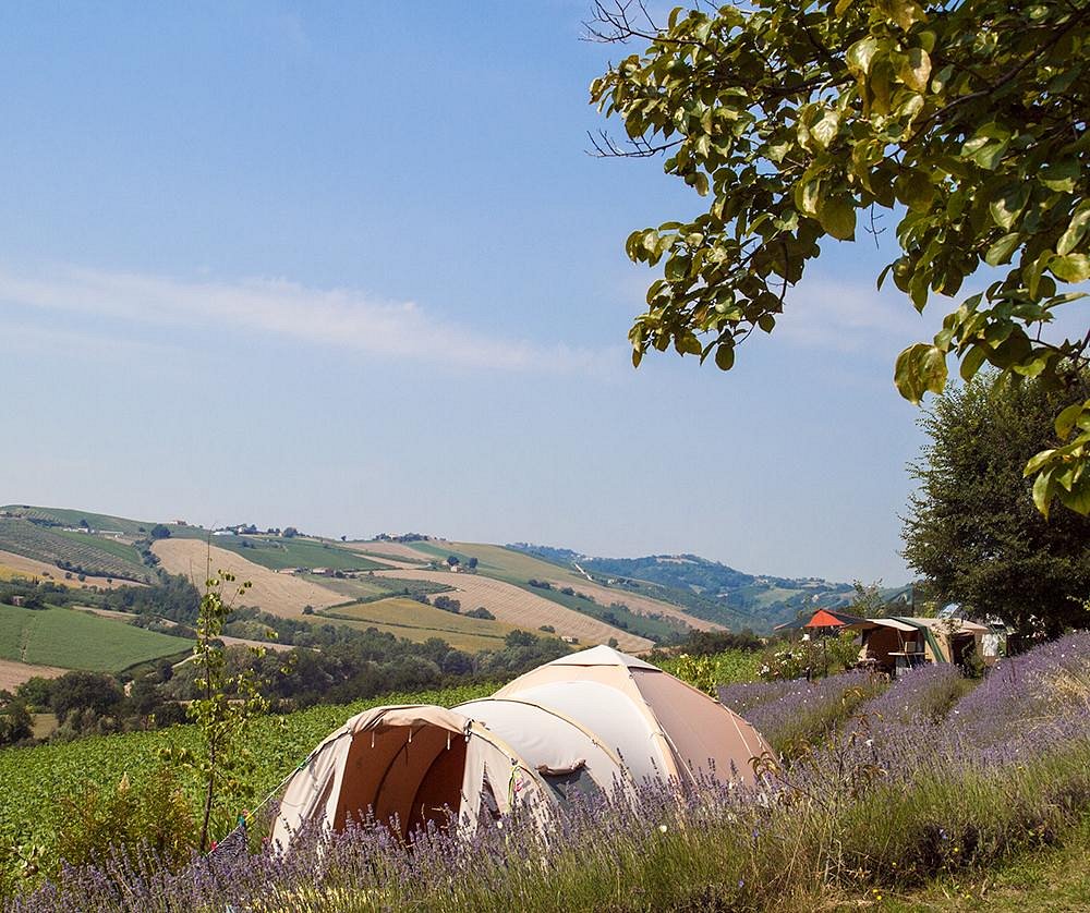 LAVANDA BLU AGRITURISMO - B&B Reviews (Carassai, Italy)