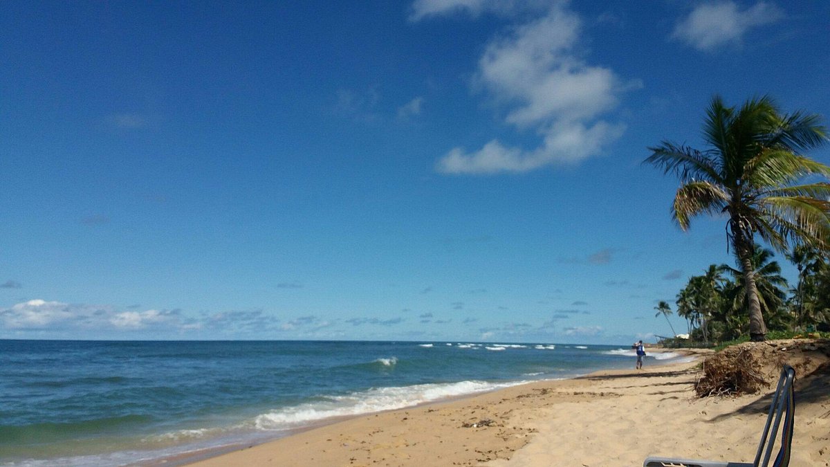 Praia do Forte, Bahia – 40 dicas para curtir esse paraíso!