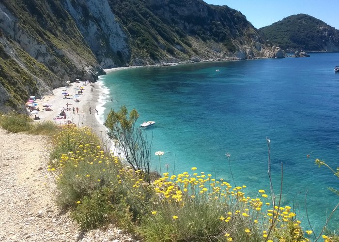 Pequena Cidade Na Costa Da Ilha De Elba, Em Itália. Número Elevado