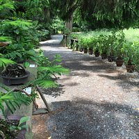 Lovely place with lot of bonsai trees. Entry 4€, possibility to buy.