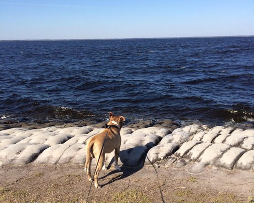 The Best Saint Cloud Beaches With Photos Tripadvisor