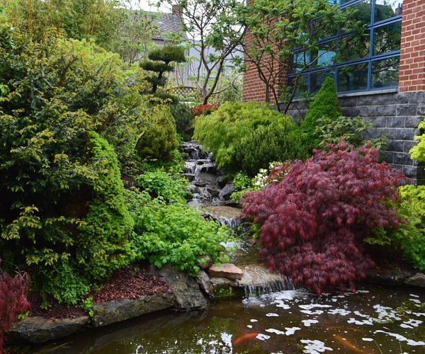 Jardin Japonais ville de Sains du Nord