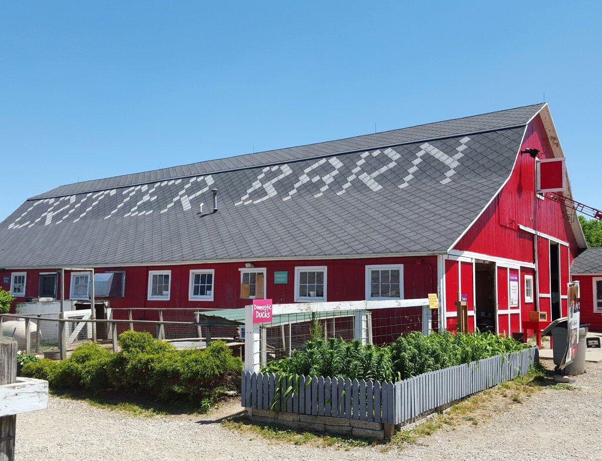 CRITTER BARN (Zeeland) - All You Need to Know BEFORE You Go