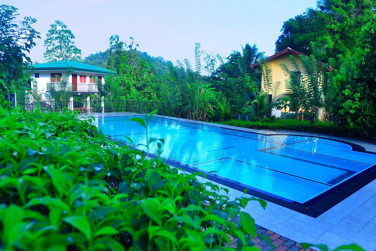 Diya Ulpatha Tea Garden Resort Pool: Pictures & Reviews - Tripadvisor