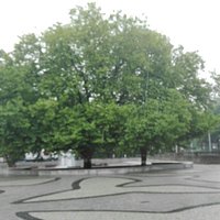 Blick über den Platz