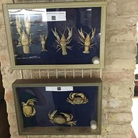 Museo di Storia Naturale
