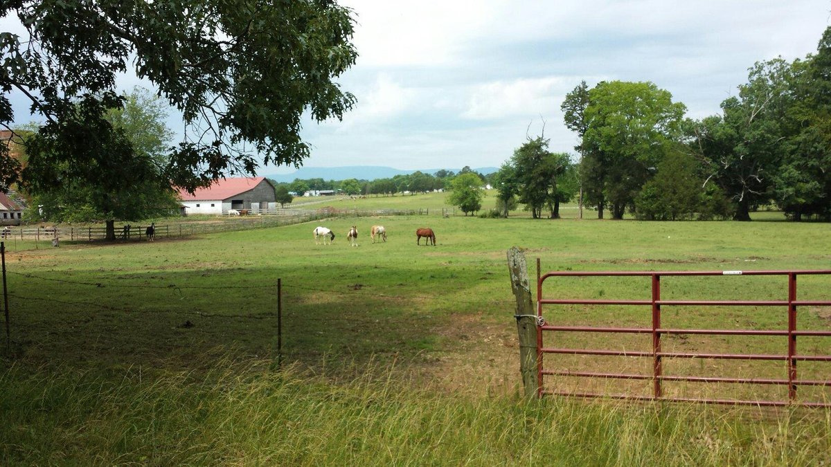 Trails End Ranch - All You Need to Know BEFORE You Go (2024)