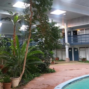 Pool area was amazingly beautiful, Rooms somewhat nice, could use updates, found a silver fish i