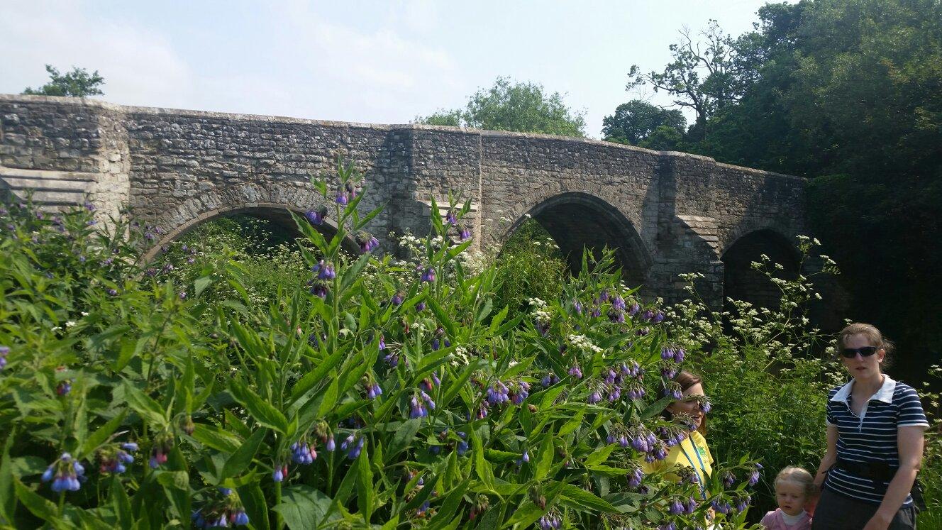 Teston Bridge Country Park All You Need to Know BEFORE You