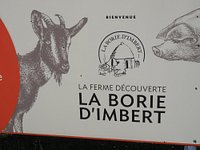 Porc - La Borie d'Imbert