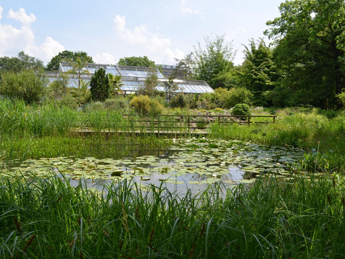 Botanischer Garten (2025) All You Need to Know BEFORE You Go (with