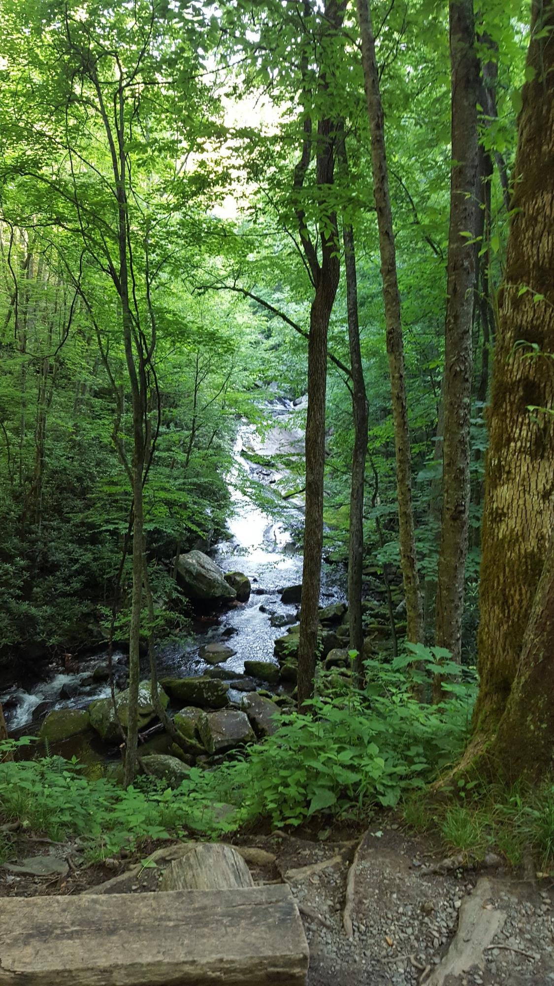 West Prong Falls (Great Smoky Mountains National Park): All You Need to ...