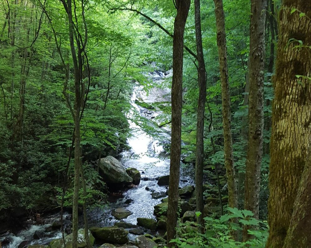 THE 10 BEST Great Smoky Mountains National Park Waterfalls (2024)