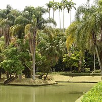 Lago do Museu.