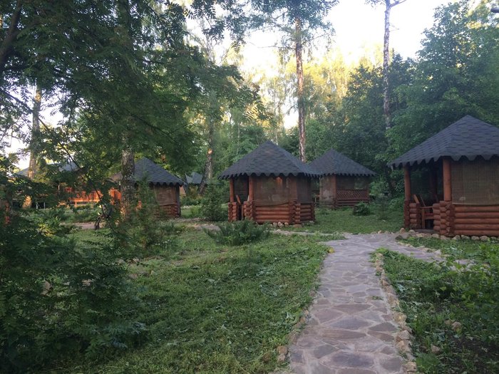 Русский лес н