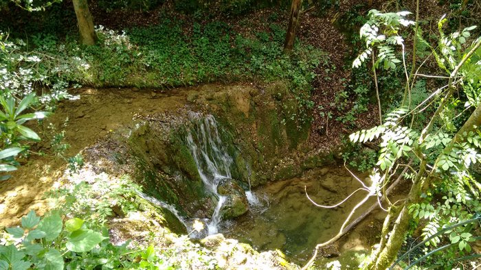 Imagen 6 de La Cova del Santuari de la Mare de Deu de Lourdes