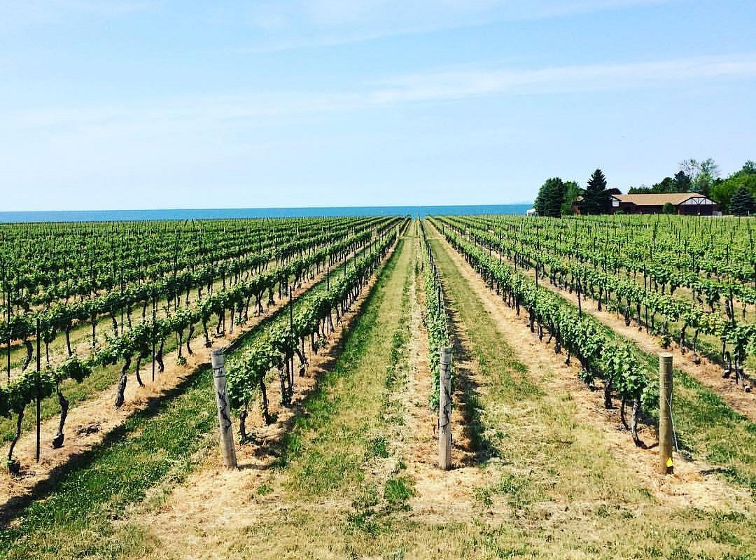 niagara getaway wine tours