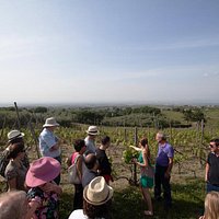 touring the vineyard..!
