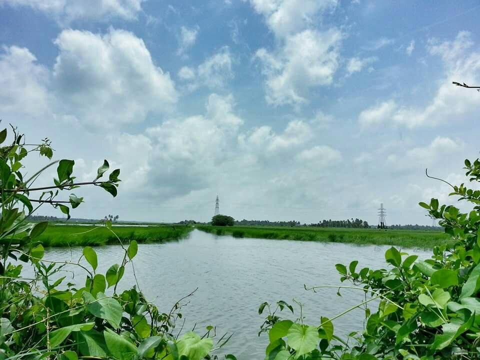 Kumbalangi is an island village in the outskirts of Kochi city in the state  of Kerala, India. Situated amidst backwaters, around 12 km from the city...  | By DLJK Photography | Facebook