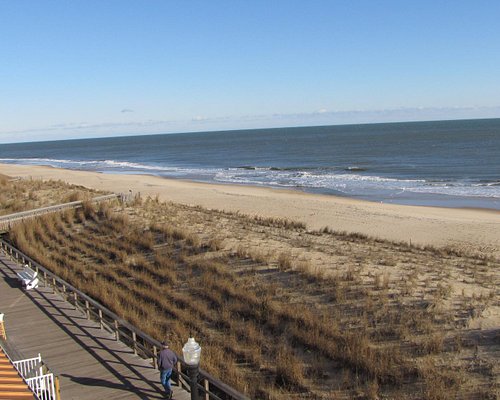 are dogs allowed on bethany beach all year