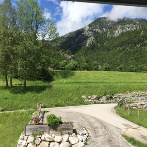 Fensterblick