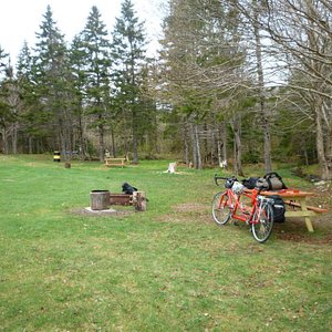 Our campground with our tandem bike