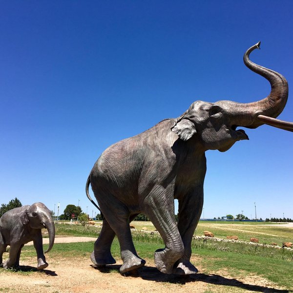 Museum of Texas Tech University (Lubbock) - All You Need to Know BEFORE ...