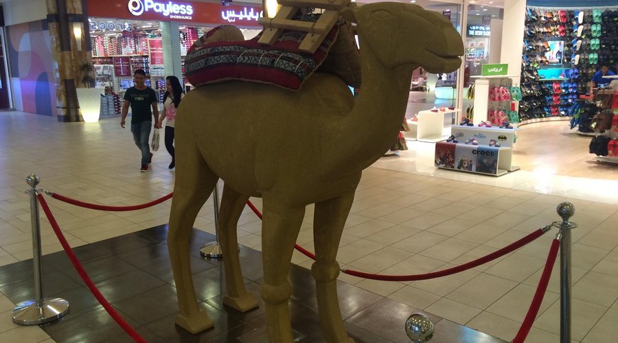Camel