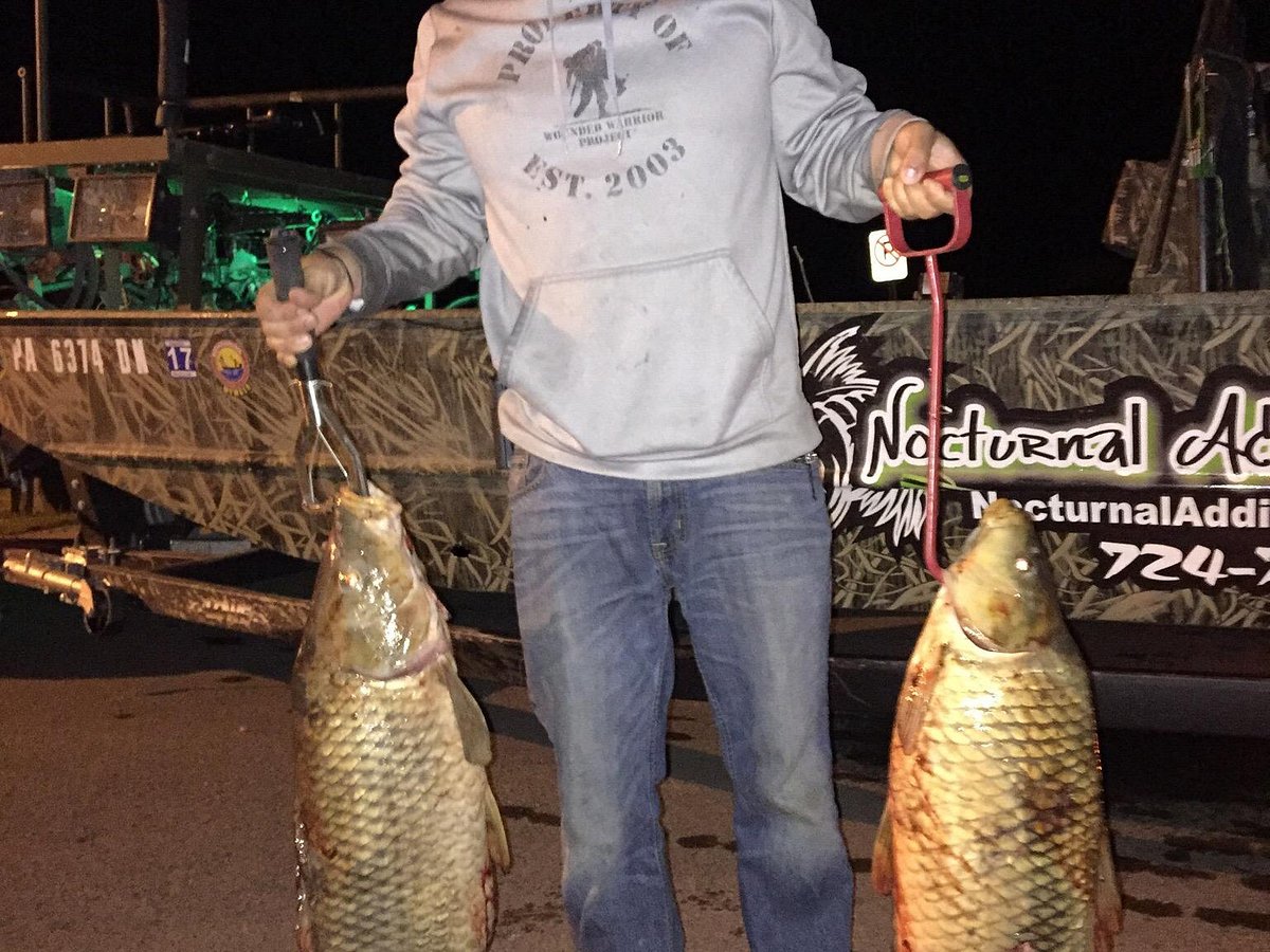 Bowfishing: What to Know Before You Go